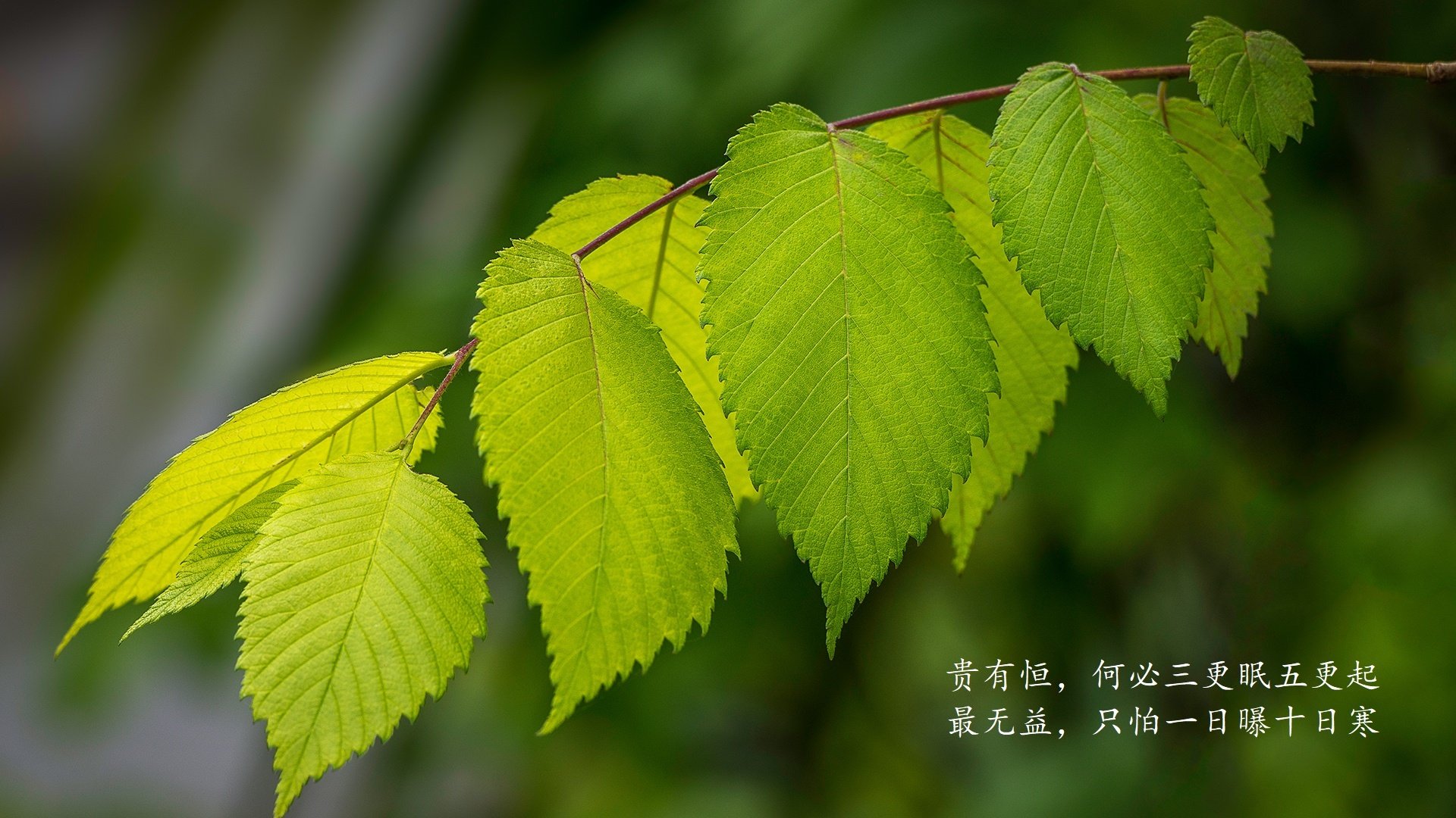 未来无人机飞行比赛，科技引领运动新潮流，无人机大会