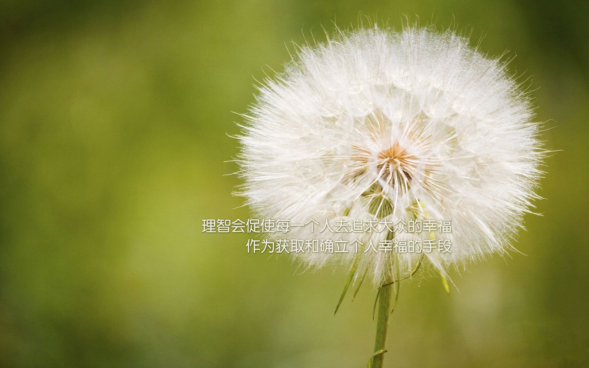 逆境中的“冠军梦”，欧冠中那些奇迹实现者，欧冠最伟大的逆转