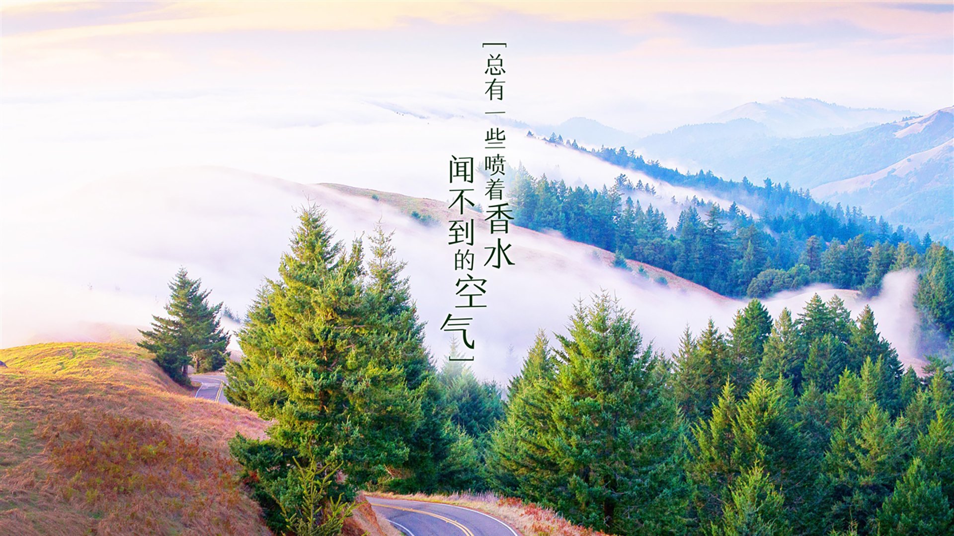 卡莱尔联防守稳定，蓝衫军誓夺关键分数，卡莱尔csl