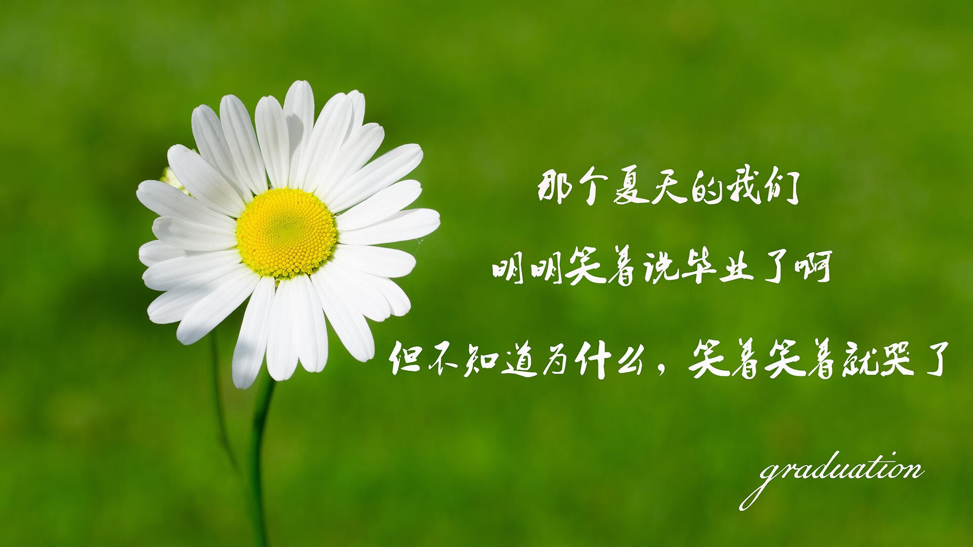维达德卡萨布兰卡主场迎战劲敌，德比战备受关注，大卡萨布兰卡