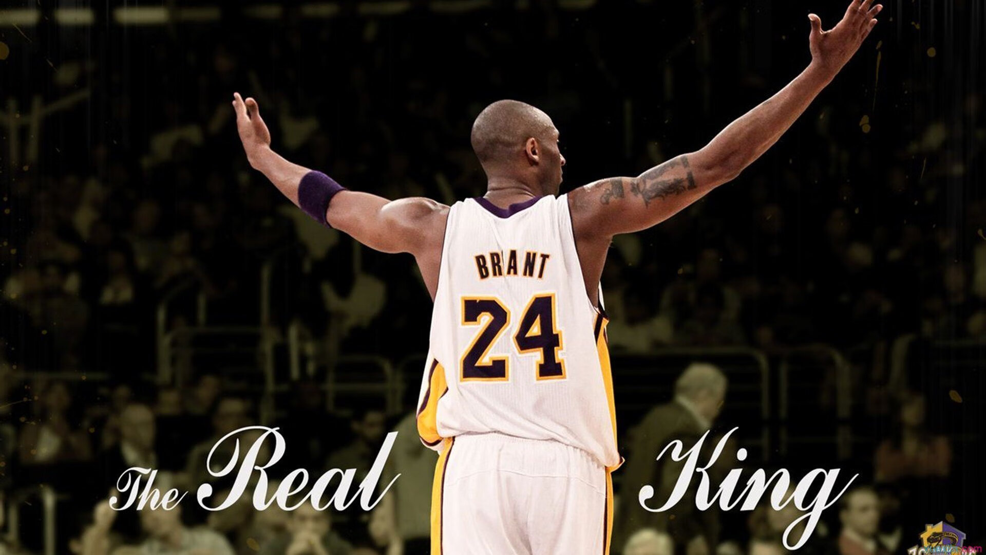 赛季最感人故事:逆境中的拼搏与荣光,王者荣耀关于逆境的台词